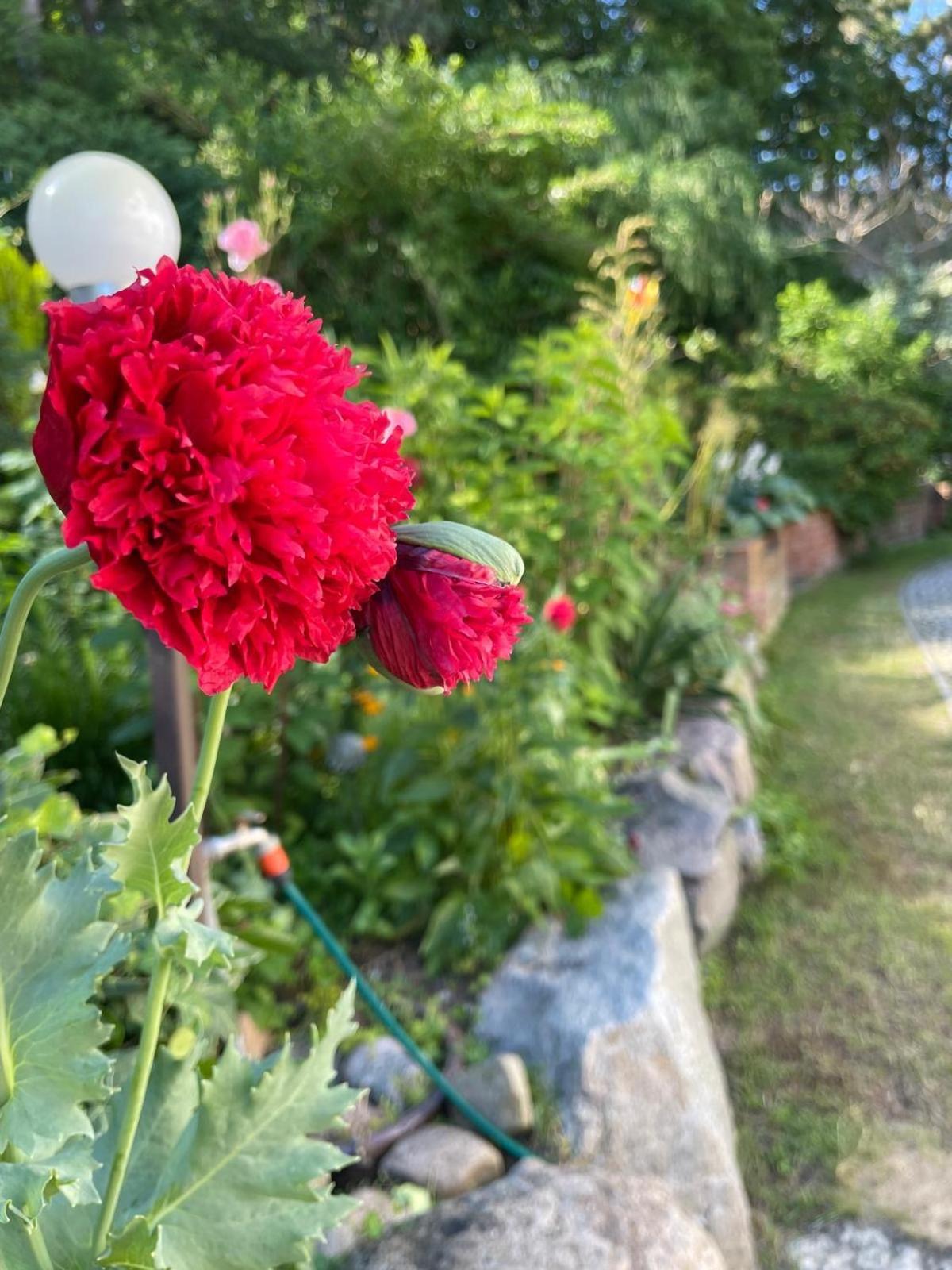Villa Mielno-Eko Mielno  Luaran gambar