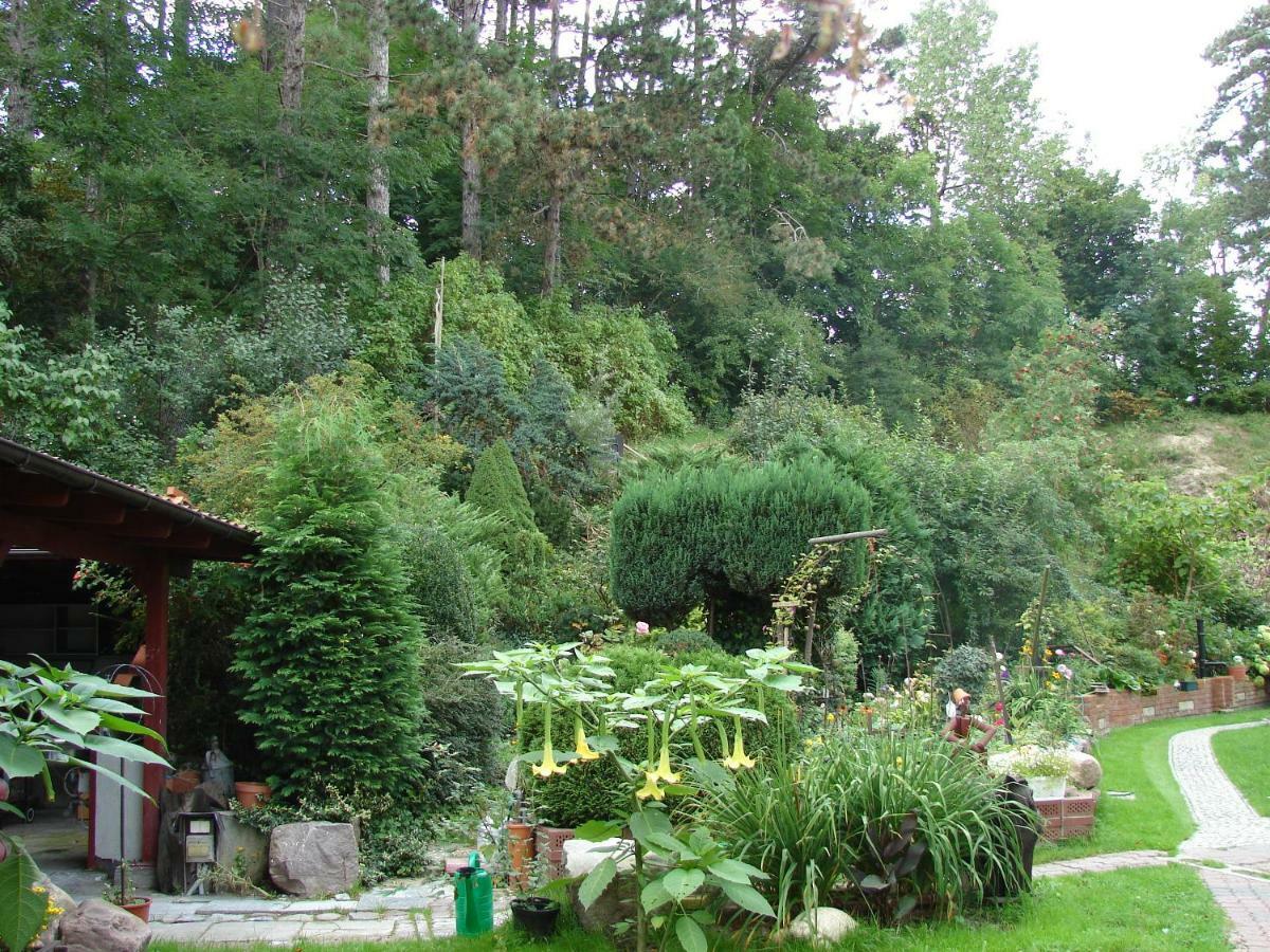 Villa Mielno-Eko Mielno  Luaran gambar